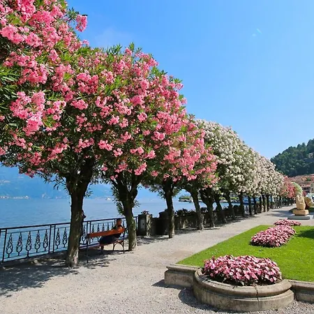 Bellagiowonderful In Center Appartement